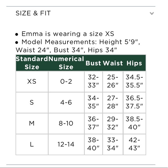 NWT Hunter Bell Palmer Dress - Picture 11 of 12